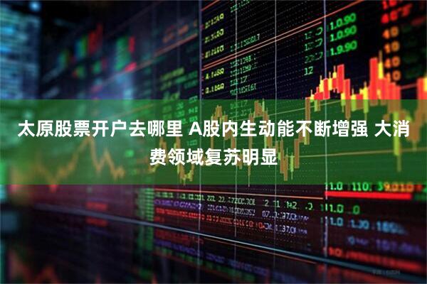 太原股票开户去哪里 A股内生动能不断增强 大消费领域复苏明显